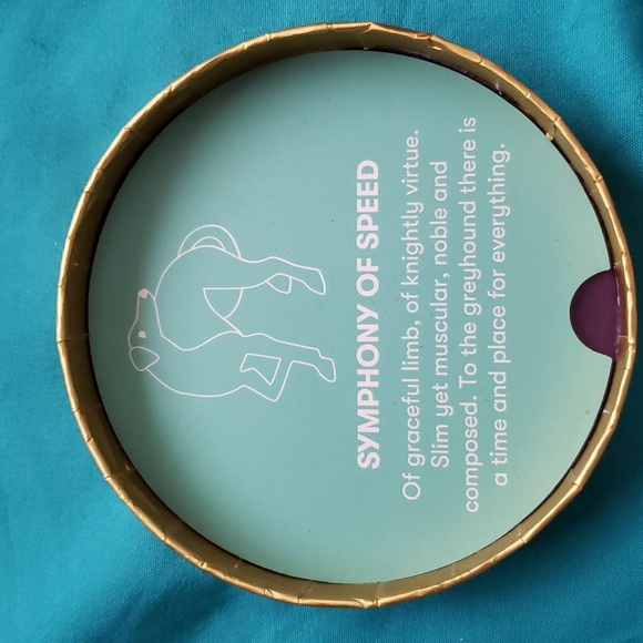 Erstwilder Symphony of Speed Greyhound Brooch. New in box.  Italian greyhound. - Picture 10 of 10